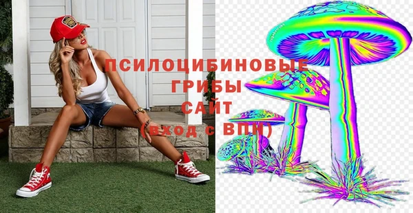 соль ск Балахна