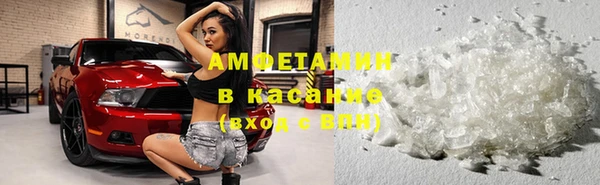 гидра Белокуриха