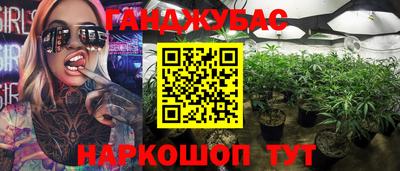 Альфа ПВП Бийск