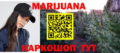Альфа ПВП Бийск