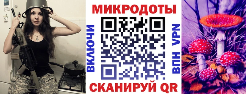 дарнет шоп  Гусев  Псилоцибиновые грибы мухоморы 