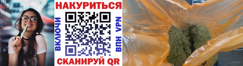 закладки  Гусев  Конопля ГИДРОПОН 